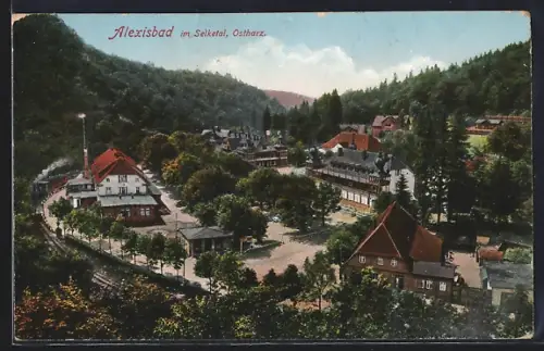 AK Alexisbad /Selketal, Ortsansicht aus der Vogelschau