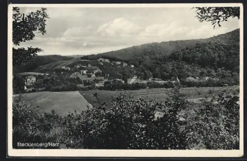 AK Stecklenberg /Harz, Ortsansicht mit Feldern der Umgebung