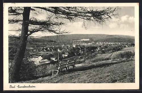 AK Bad Gandersheim, Ortsansicht