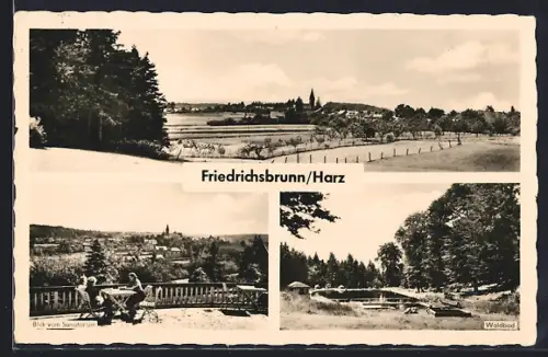 AK Friedrichsbrunn /Harz, Blick vom Sanatorium, Waldbad, Ortsansicht
