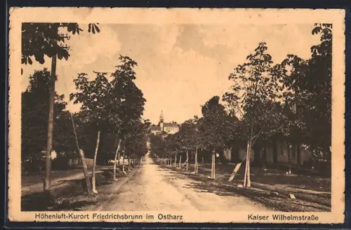 AK Friedrichsbrunn im Ostharz, Kaiser Wilhelmstrasse