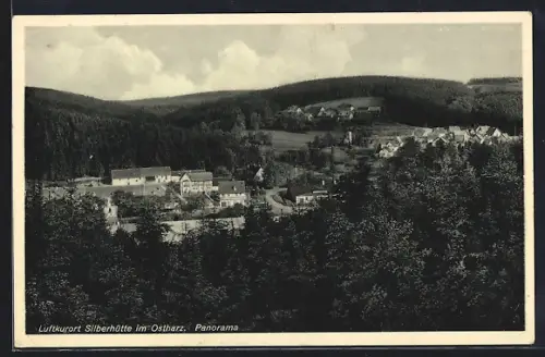 AK Silberhütte im Ostharz, Panorama