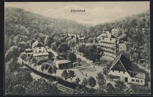AK Alexisbad, Kurhaus, Parkanlagen, umliegende Gebäude