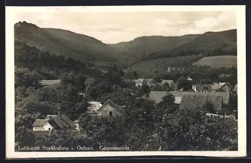 AK Stecklenberg i. Ostharz, Gesamtansicht