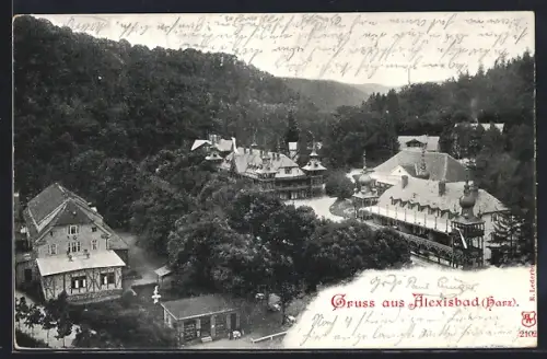 AK Alexisbad /Harz, Kurhäuser, Waldpanorama