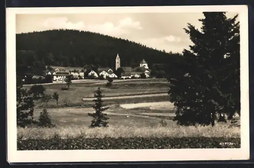 AK Schönberg / Vogtl., Ortsansicht mit Kirche