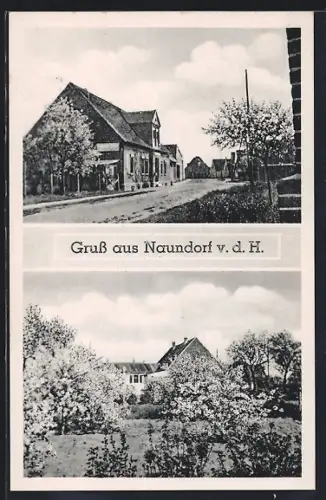 AK Naundorf v. d. H., Gasthof Erholung, Ortsansicht mit blühenden Bäumen