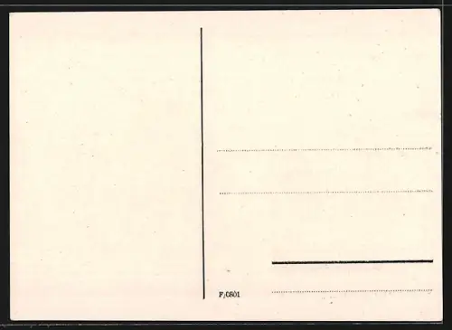 Künstler-AK Wolfenbüttel, Rathaus