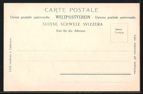 AK Spiez, Teilansicht mit Thunersee und Dampfer