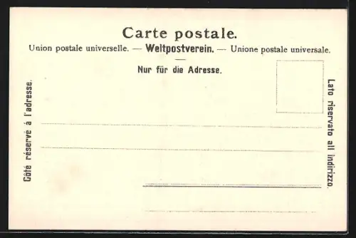 AK Rigi-Kaltbad, Panorama des Ortes