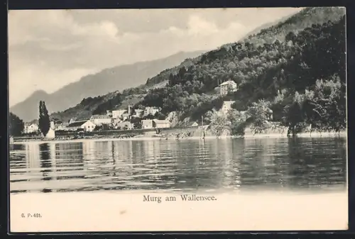 AK Murg am Wallensee, Ortspanorama vom See aus
