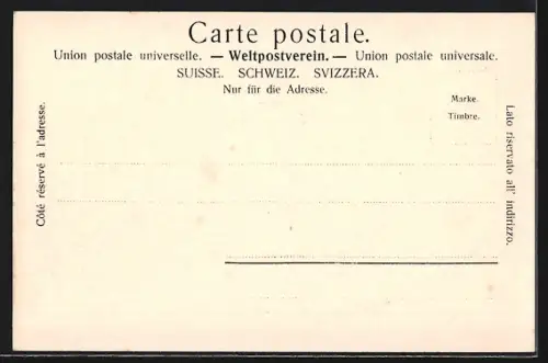 AK Solothurn, Ortsansicht vom Wasser aus