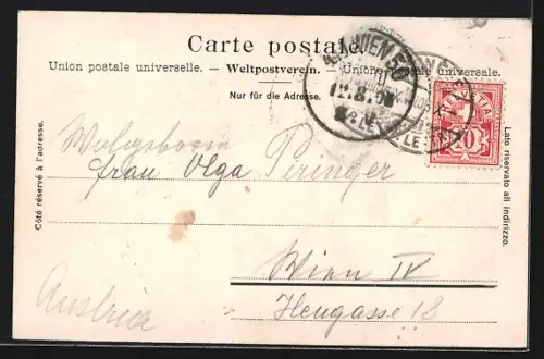 AK Genève, Quai des Eaux vives, le Salève et le Montblanc, Boote