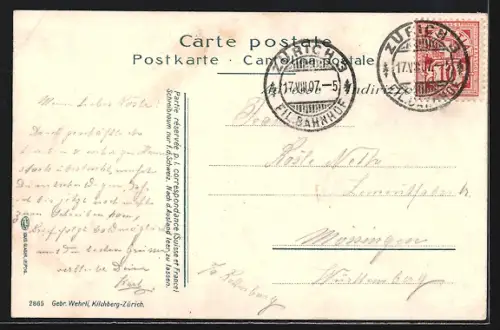 AK Zürich, Totalansicht mit Fernblick vom Polytechnikum aus