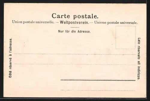 AK Genève, Monument Brunswick, Panorama