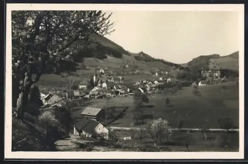 AK Langenbruck /Basler Jura, Teilansicht mit Bäumen