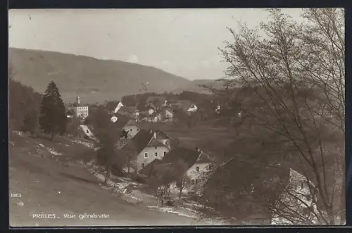 AK Preles, Vue generale