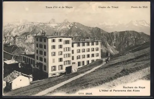 AK Rochers de Naye, L`Hotel et Panorama des Alpes, Tous d`Ai et de Mayen, Glacier du Trient, Dents du Midi