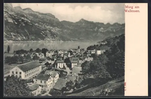 AK Murg am Wallensee, Ortsansicht mit See und Alpenlandschaft