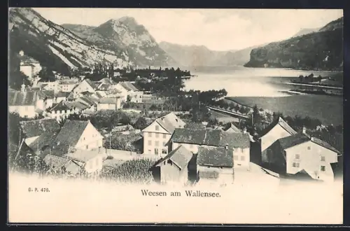 AK Weesen, Blick auf Ort und Wallensee