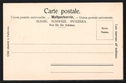 AK Weesen, Blick auf Ort und Wallensee