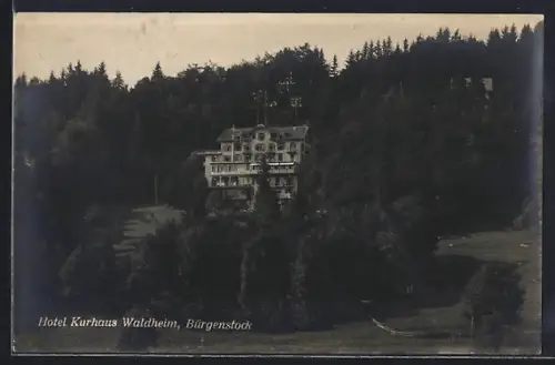 AK Bürgenstock, Totale vom Hotel Waldheim