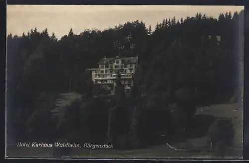 AK Bürgenstock, Gesamtansicht vom Hotel Waldheim