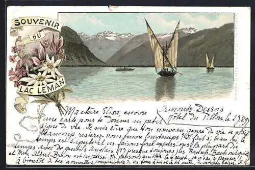 Lithographie Lac Léman, Vue panoramique