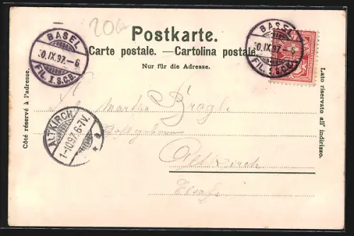 Lithographie Basel, Partie am Münster, Totalansicht vom Ort