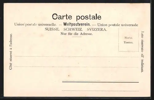 AK Morschach, Ortsansicht mit Degenbalm