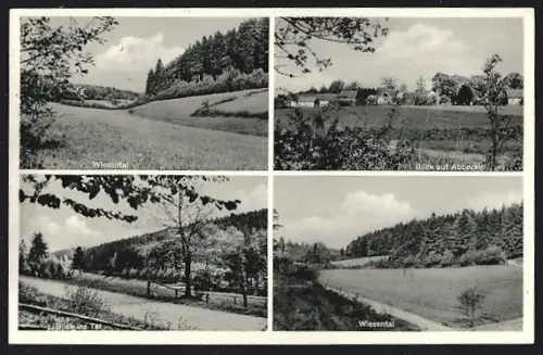 AK Abbecke im Solling, Wiesental, Blick auf Abbecke, Blick ins Tal