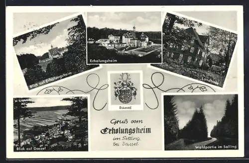 AK Dassel /Einbeck, Erholungsheim im Solling, Landhaus, Waldpartie