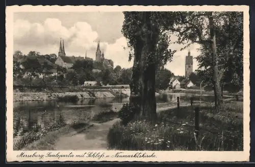 AK Merseburg, Saalepartie, Schloss, Neumarktkirche