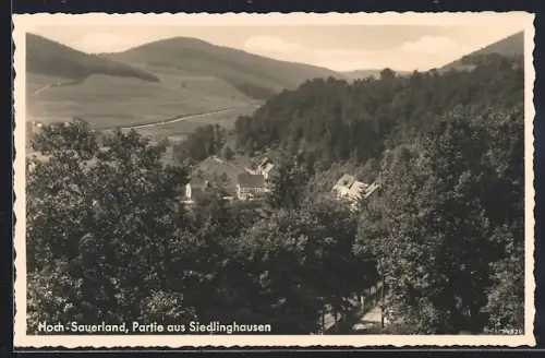AK Siedlinghausen / Hochsauerland, Blick über den Ort