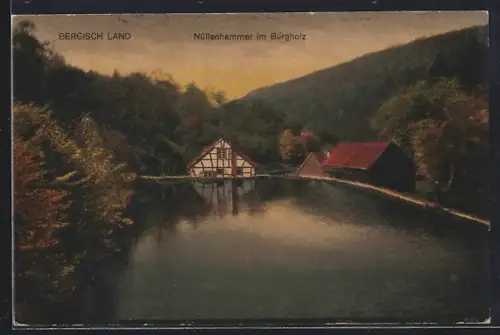 AK Burgholz / Elberfeld, Bergisch Land, Nüllenhammer, Teichpartie