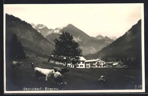 AK Oberstdorf-Birgsau, Bauernhof mit Rindern und Alpenpanorama