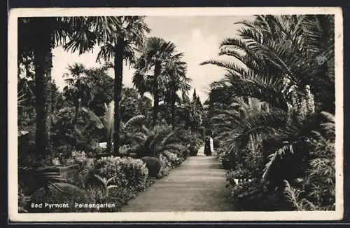 AK Bad Pyrmont, Palmengarten