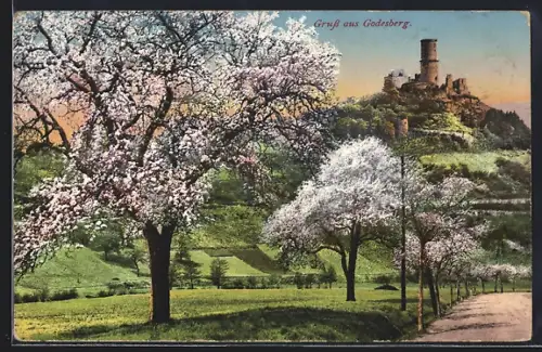 AK Godesberg, Blick zur Ruine bei Baumblüte