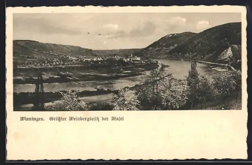 AK Winningen /Mosel, Panorama mit Weinberg