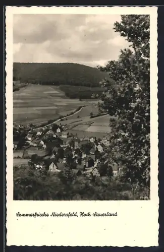 AK Niedersfeld /Hoch-Sauerland, Teilansicht mit Bäumen