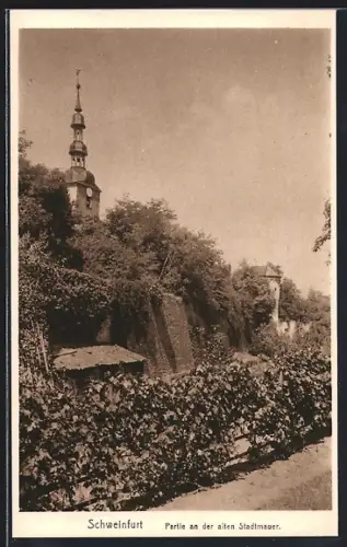 AK Schweinfurt, Stadtmauer mit Salvatorkirche