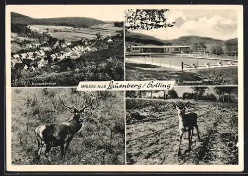 AK Lauenberg /Solling, Gesamtansicht, Badeanstalt, Hirsch