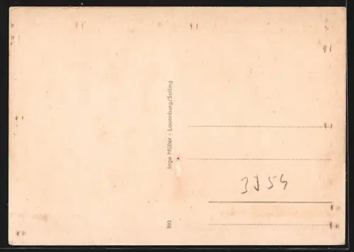 AK Lauenberg /Solling, Gesamtansicht, Badeanstalt, Hirsch