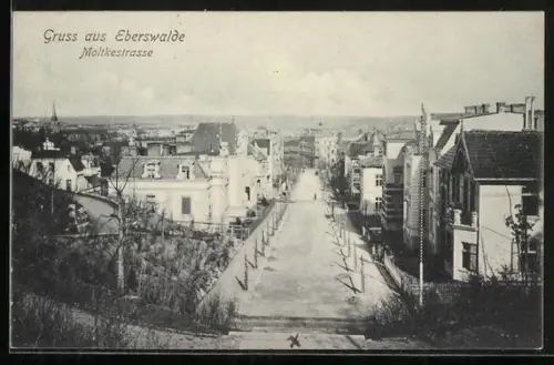AK Eberswalde, Blick in die Moltkestrasse