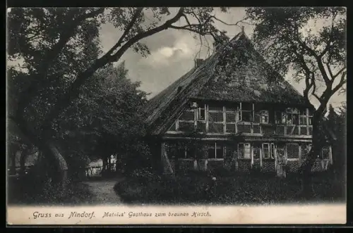 AK Nindorf / Lüneburger Heide, Gasthaus Zum Braunen Hirsch