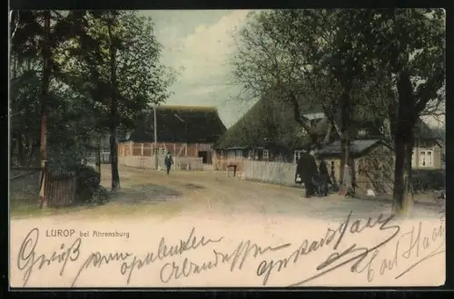 AK Lurop /Ahrensburg, Strassenpartie mit Reetdach-Häusern