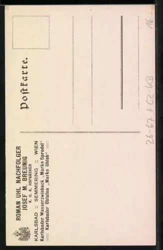 Künstler-AK Fritz Schönpflug: Karlsbad, Arzt verschreibt einem Patienten Karlsbader Wasserzwieback Marke Sprudel