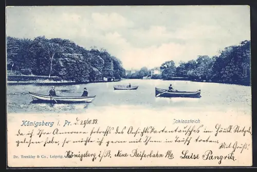 AK Königsberg, Ruderboote auf dem Schlossteich