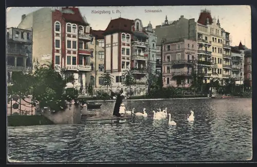 AK Königsberg i. Pr., Schlossteich und Wohnhäuser