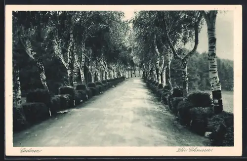 AK Cadinen, Partie auf der Chaussee